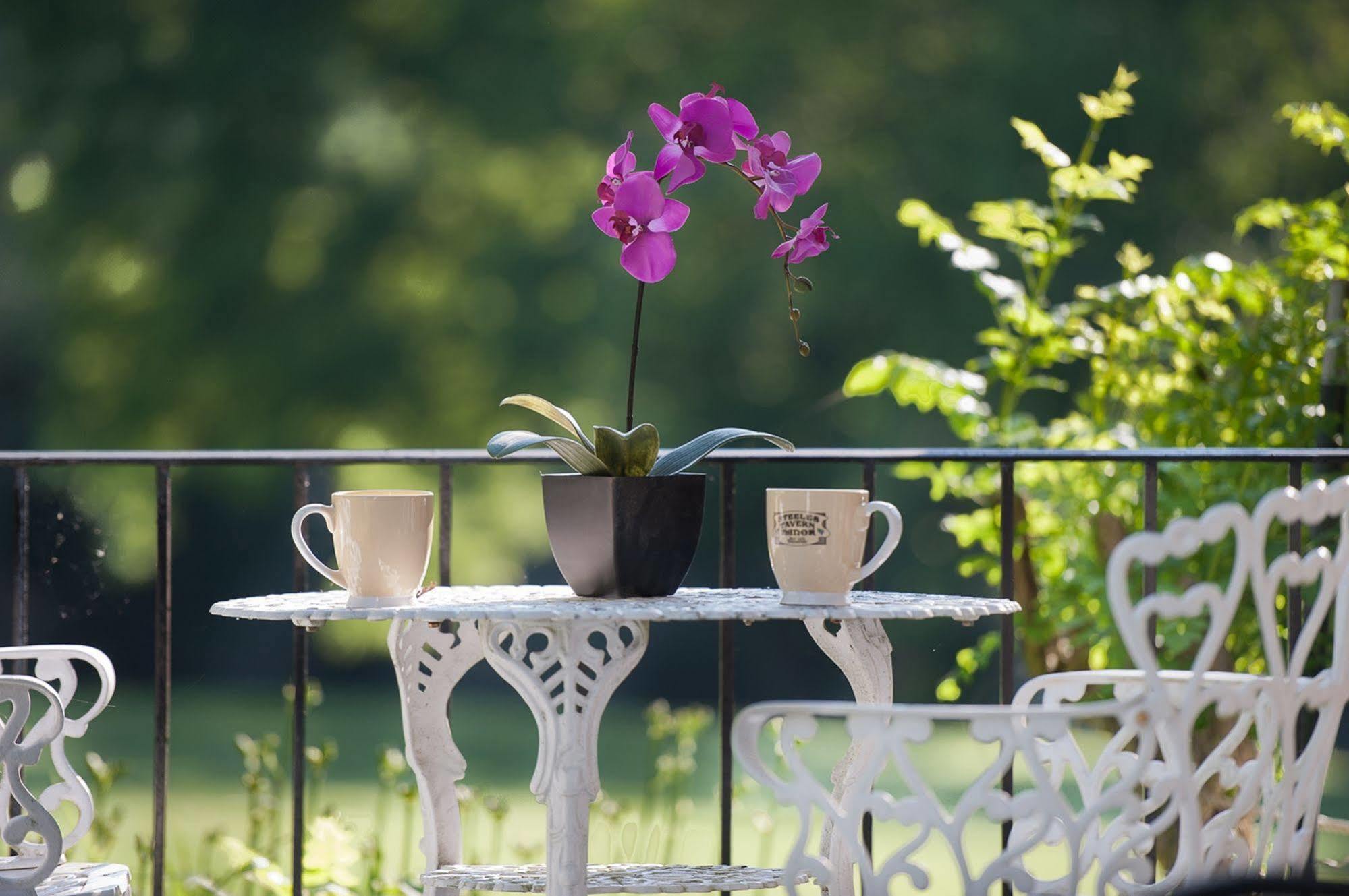 Steeles Tavern Manor Bed & Breakfast Raphine エクステリア 写真