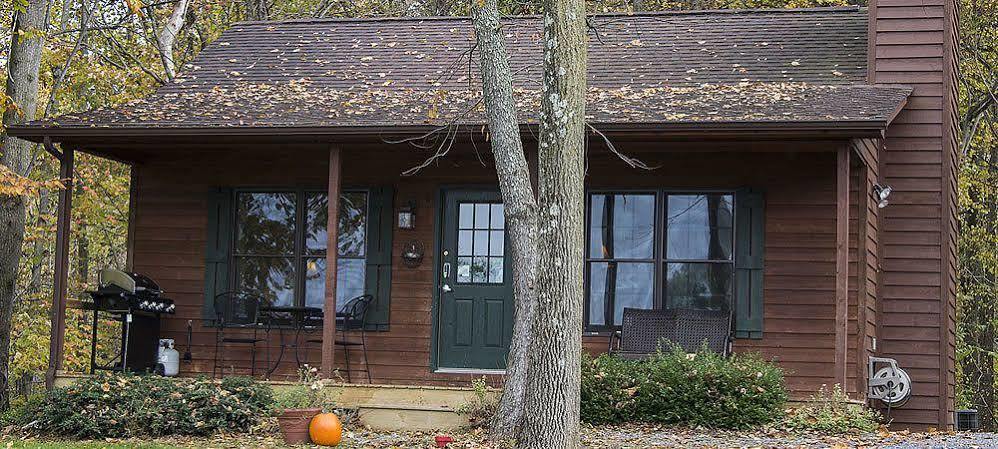 Steeles Tavern Manor Bed & Breakfast Raphine エクステリア 写真